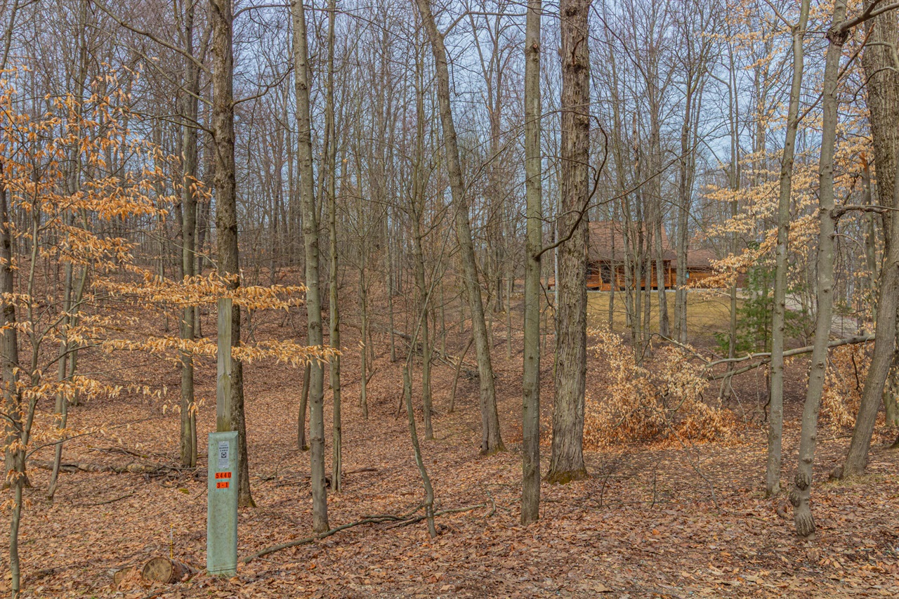10082 Sante Fe Trail Property Photo 6