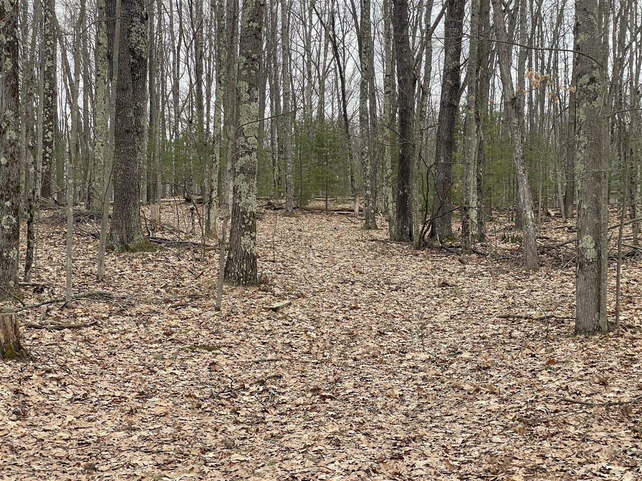 V/l W Deer Track Trail Property Photo 1