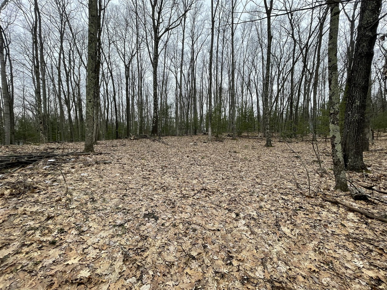 V/l W Deer Track Trail Property Photo 4