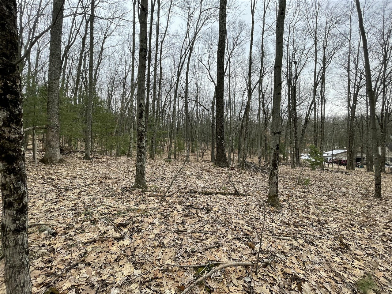 V/l W Deer Track Trail Property Photo 5
