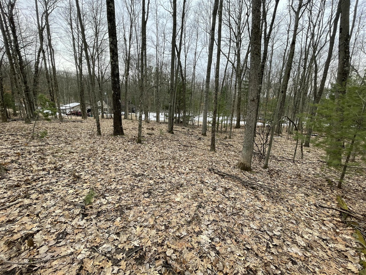 V/l W Deer Track Trail Property Photo 6