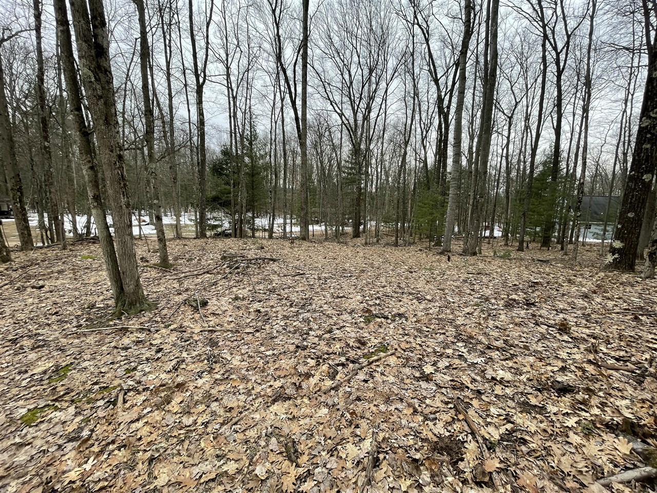 V/l W Deer Track Trail Property Photo 7