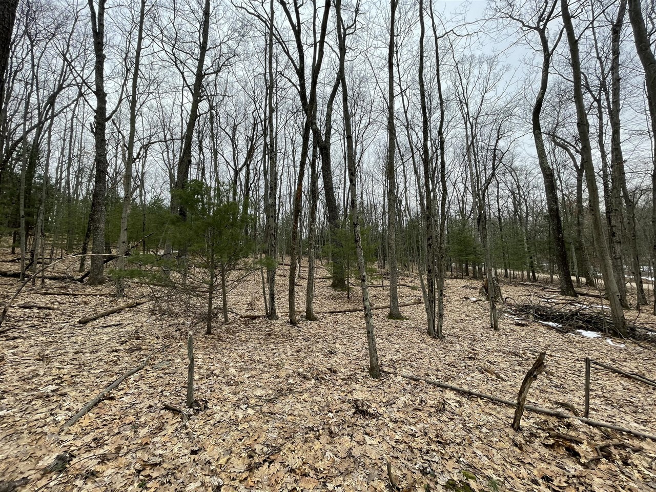 V/l W Deer Track Trail Property Photo 8