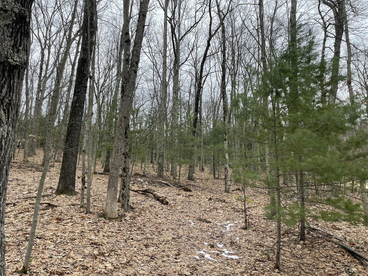 V/l W Deer Track Trail Property Photo 9
