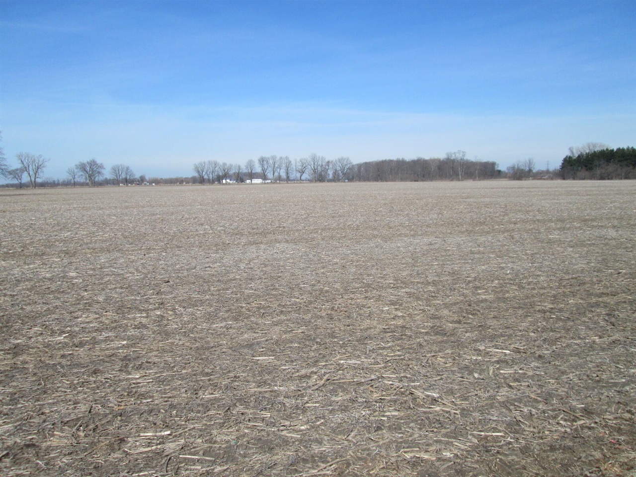 V/l W Lemon Creek Road Property Photo 1