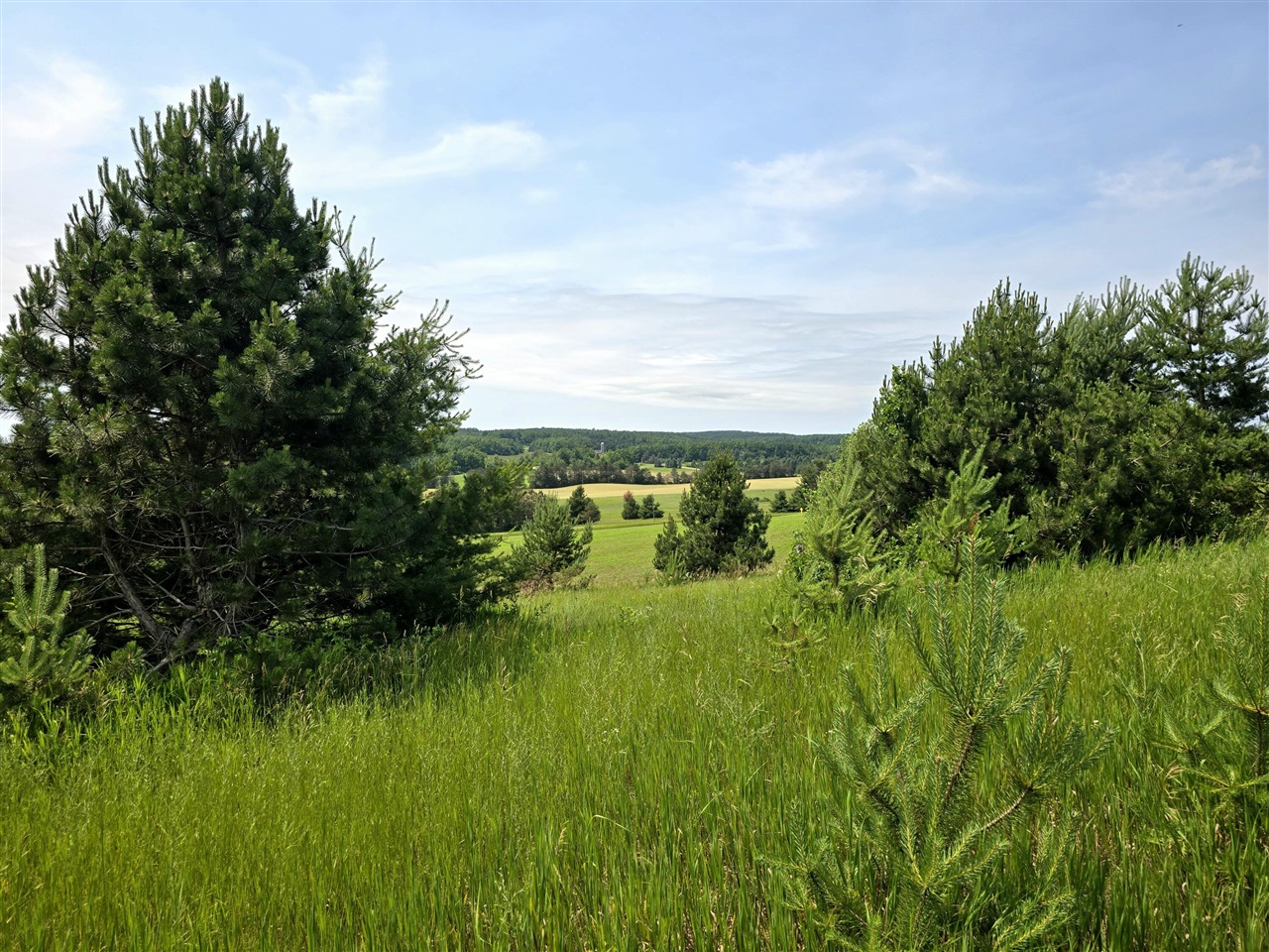 5850 Deer Run Trail Property Photo 1