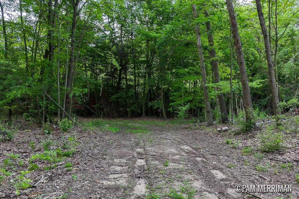 Parcel B Youngman Road Property Photo 4