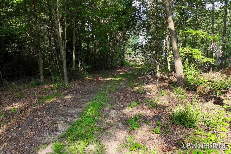Parcel F Willard Road Property Photo 1
