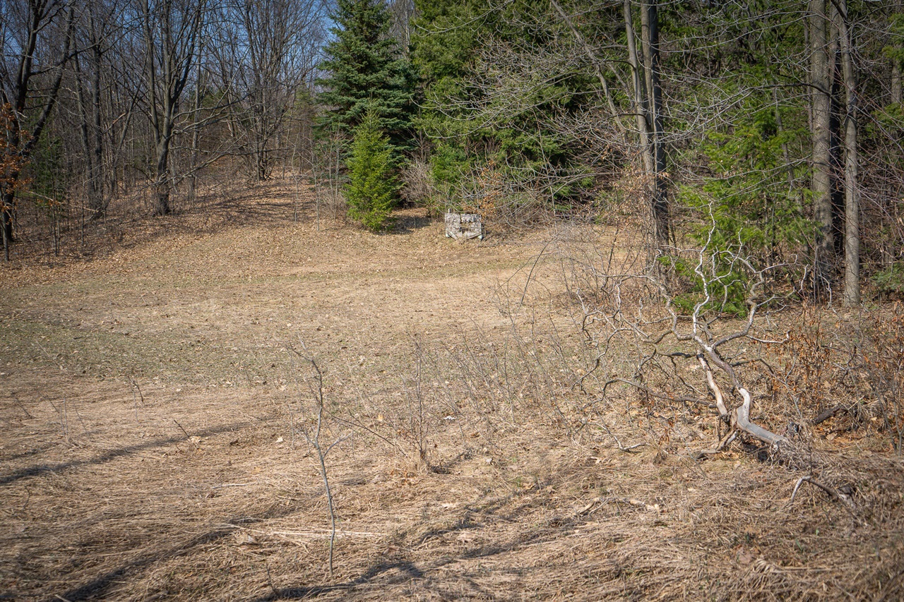 Parcel C&d W Grant Property Photo 4