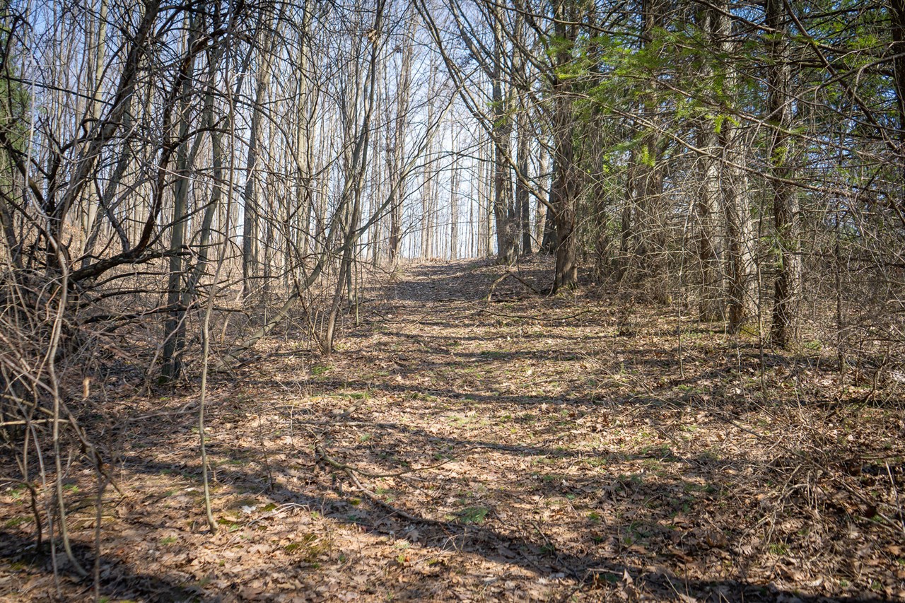 Parcel C&d W Grant Property Photo 6