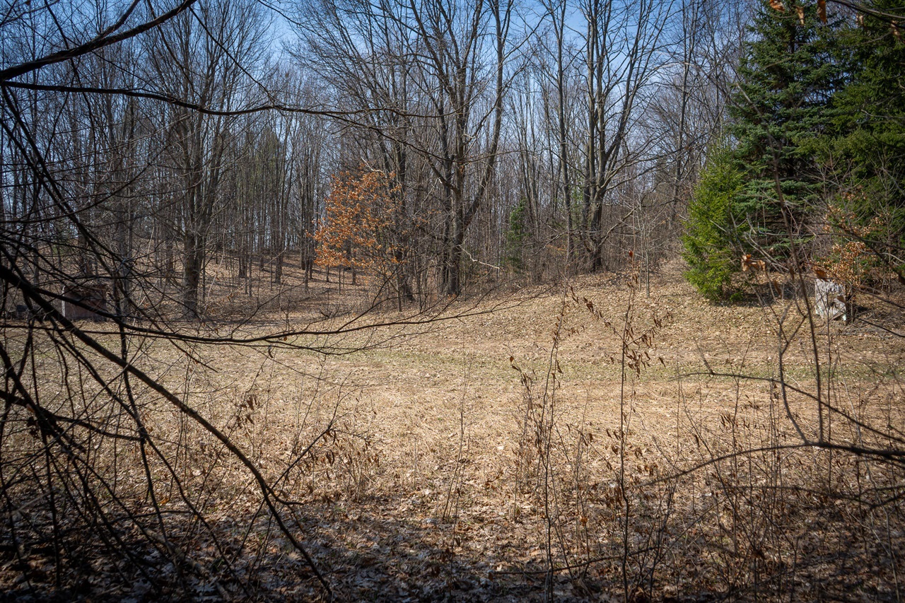 Parcel C&d W Grant Property Photo 7