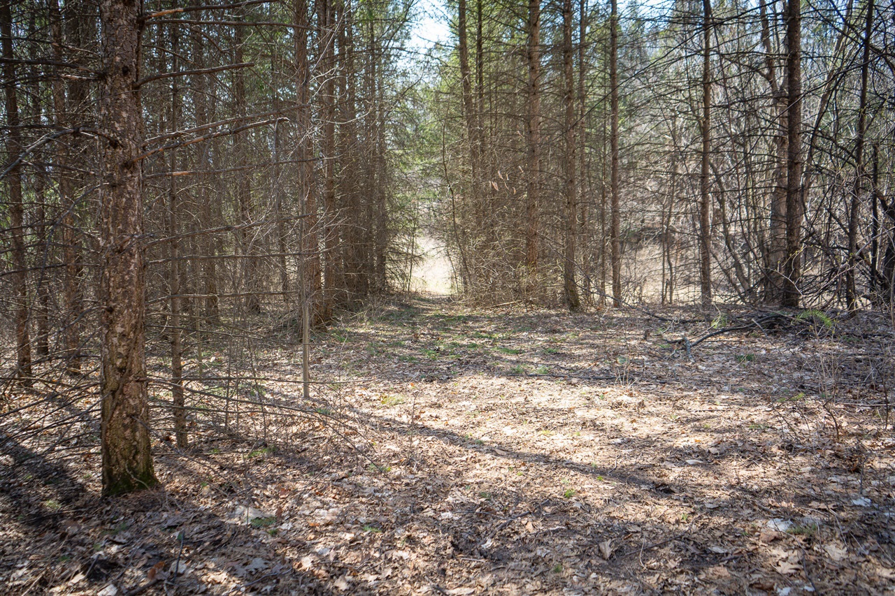 Parcel C&d W Grant Property Photo 10