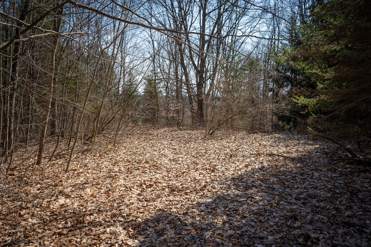 Parcel C&d W Grant Property Photo 15