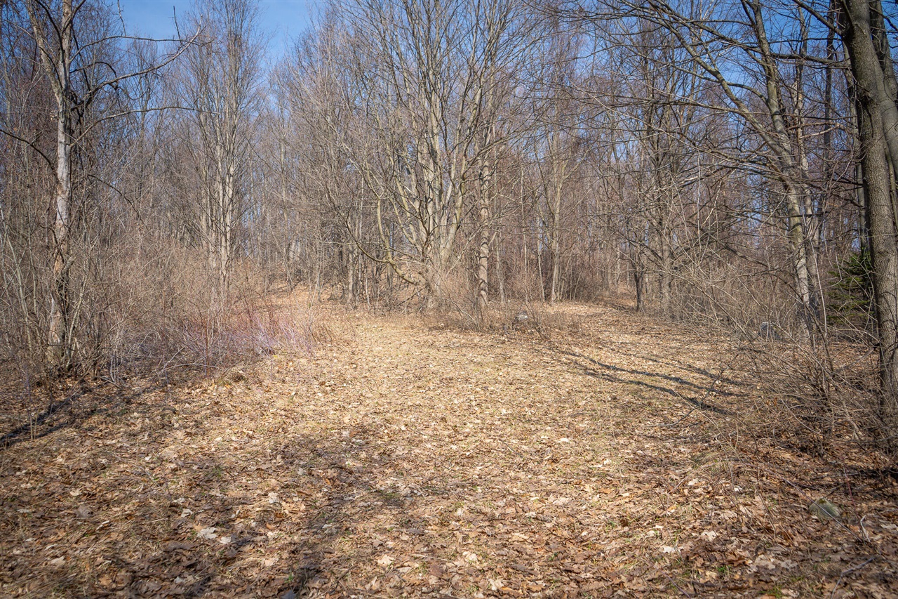 Parcel C&d W Grant Property Photo 16