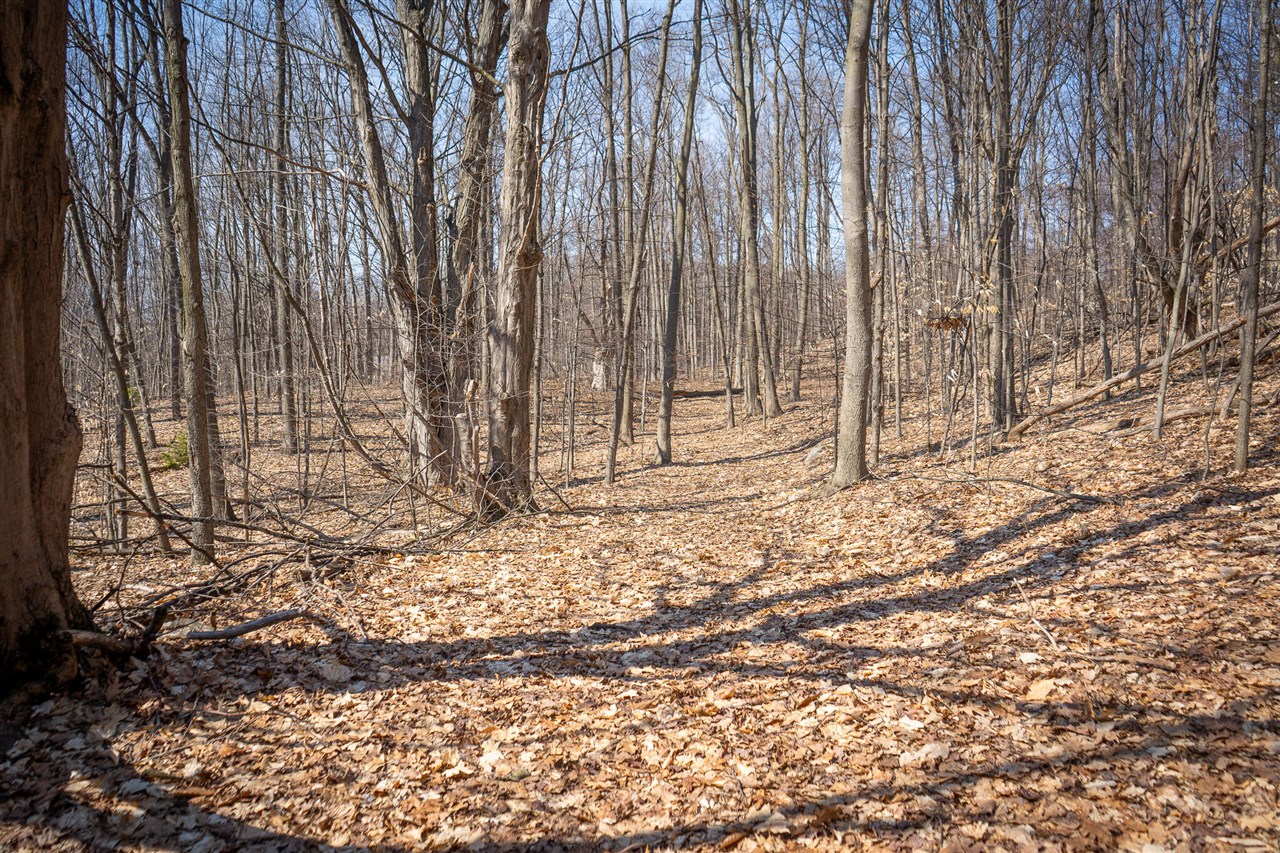Parcel C&d W Grant Property Photo 17