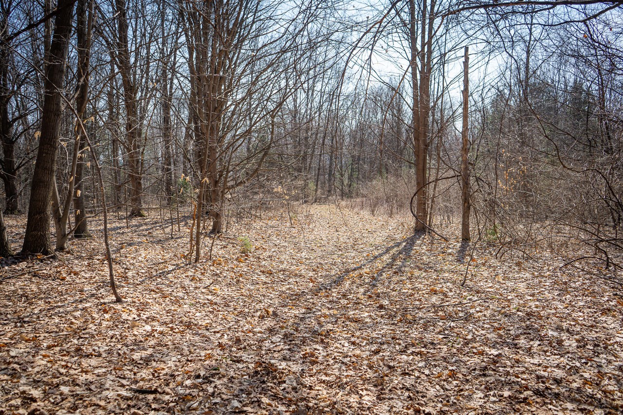 Parcel C&d W Grant Property Photo 18