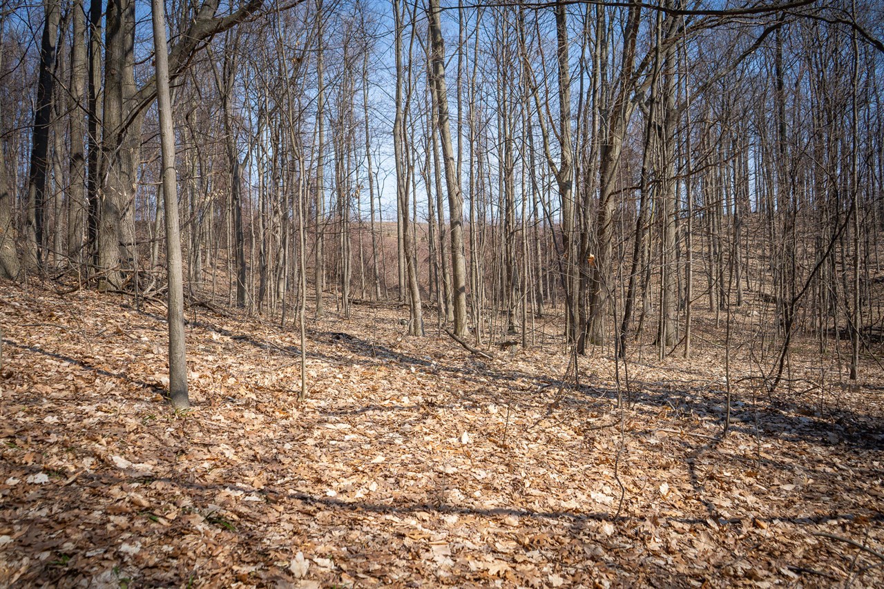 Parcel C&d W Grant Property Photo 19
