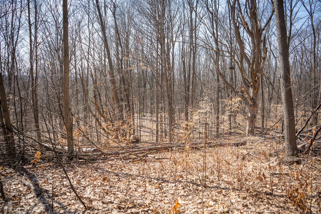 Parcel C&d W Grant Property Photo 20