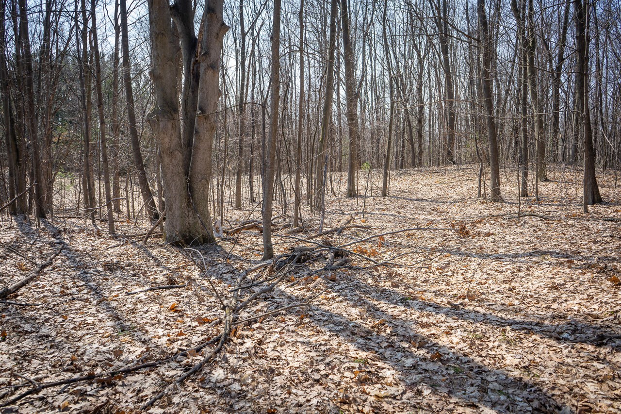 Parcel C&d W Grant Property Photo 31