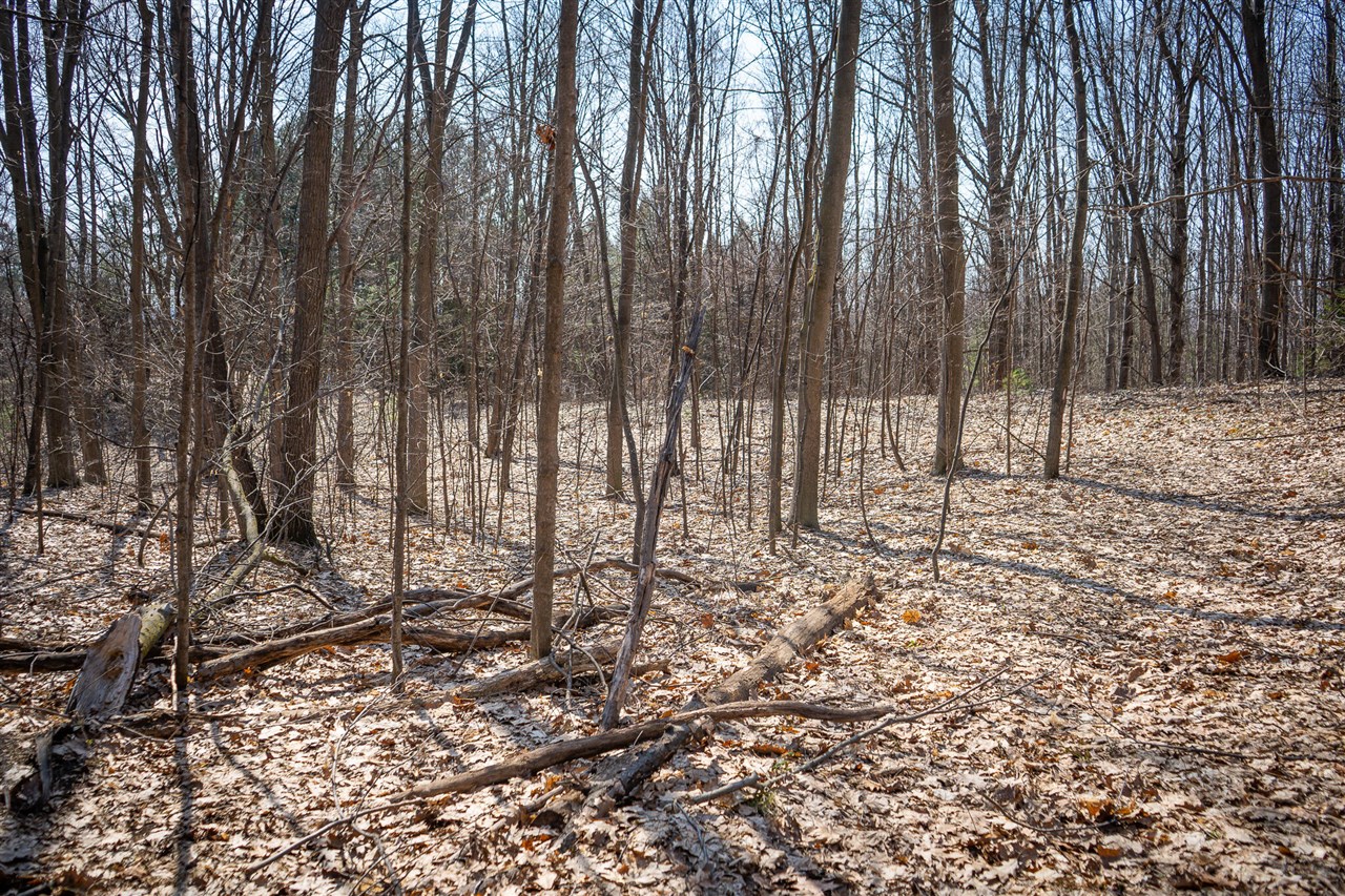 Parcel C&d W Grant Property Photo 32