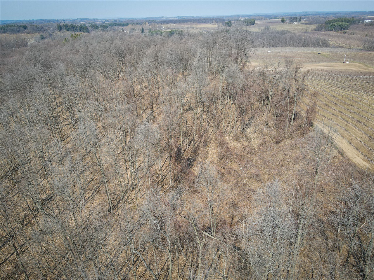 Parcel C&d W Grant Property Photo 36
