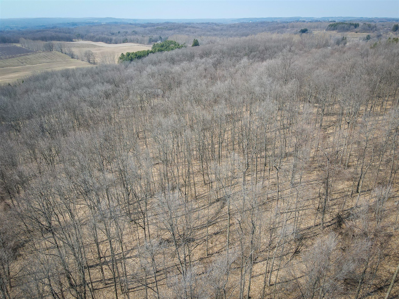 Parcel C&d W Grant Property Photo 37