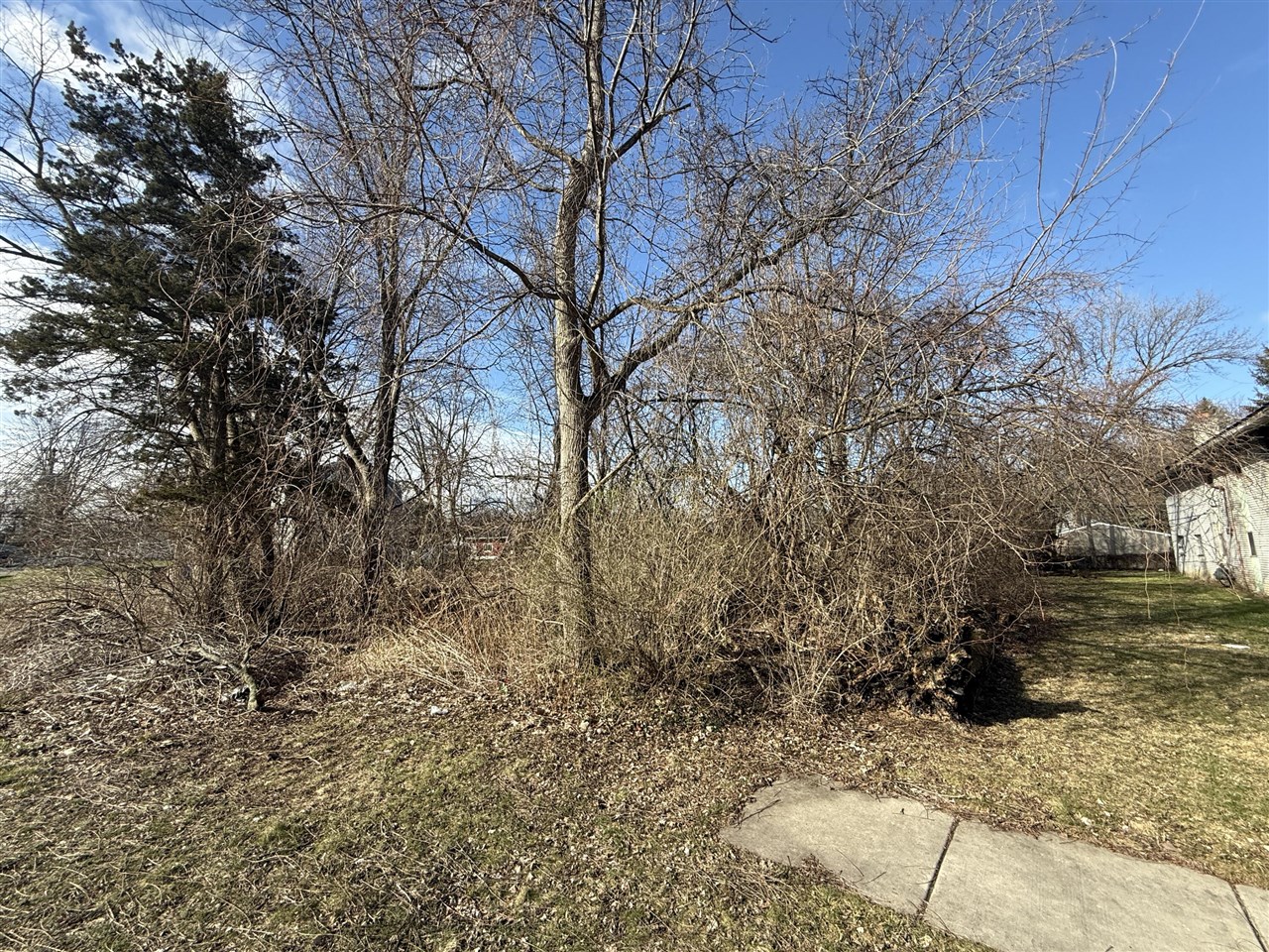 Tromley Street Property Photo 3