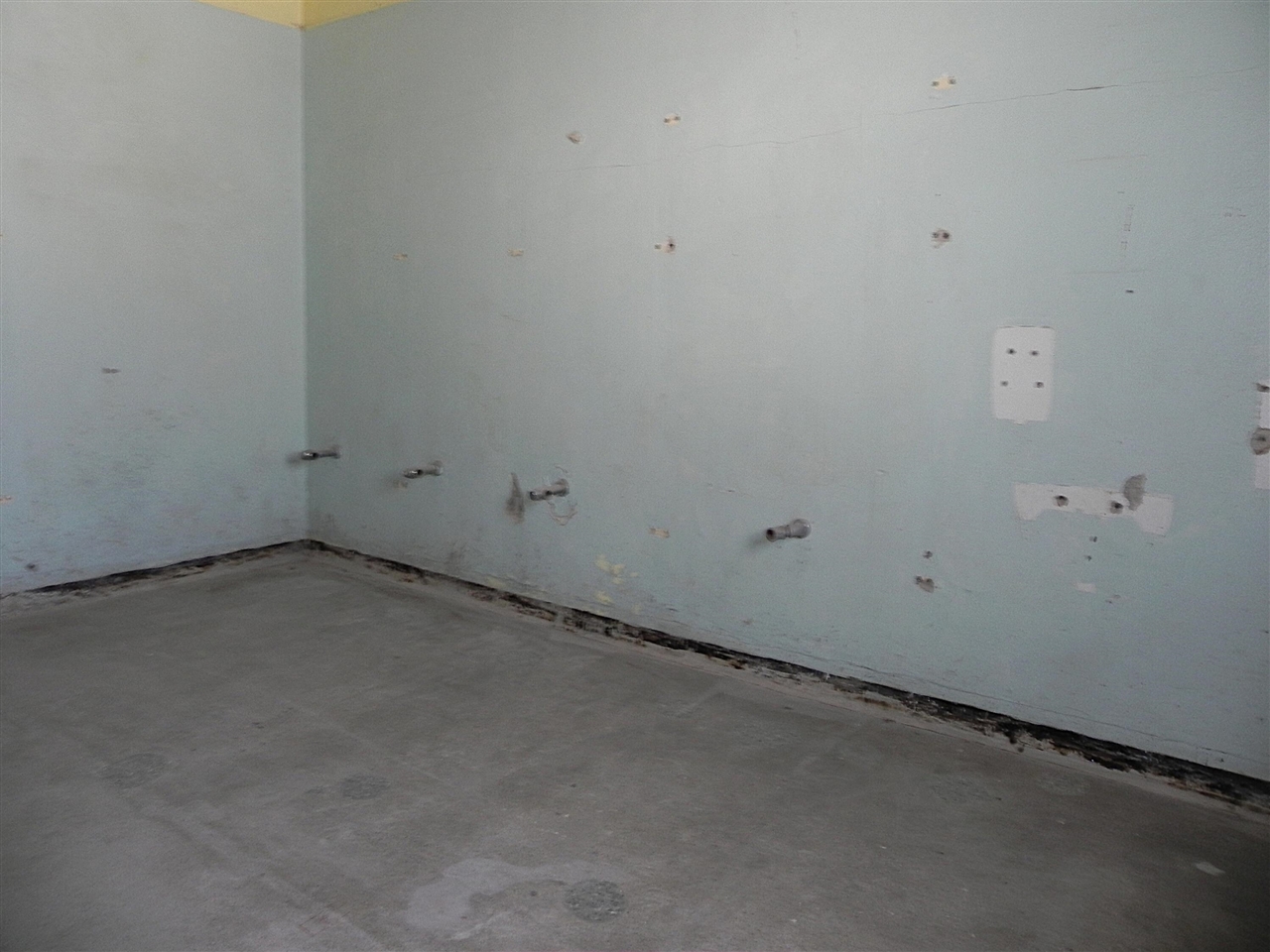 601 Neuman Street Property Photo 10