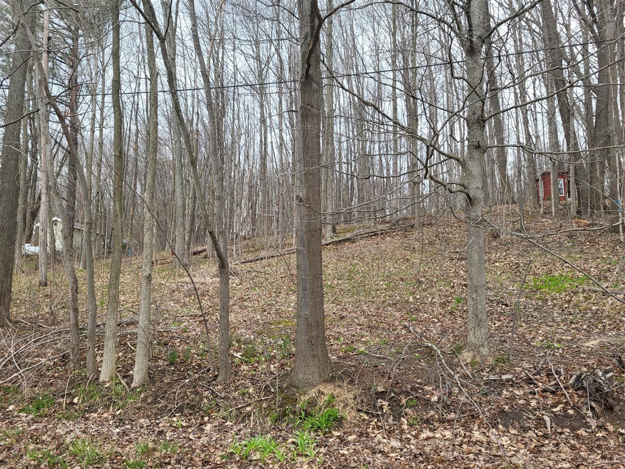V/l 46 E Peterson Property Photo 1