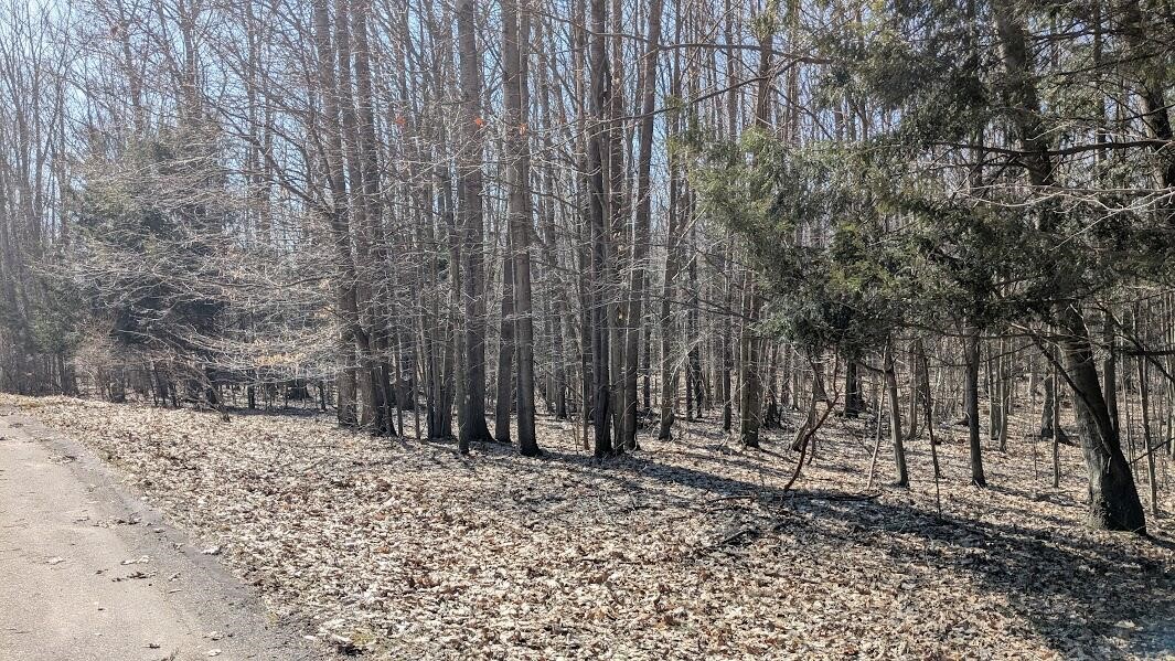 Opal Ridge Drive Property Photo 4