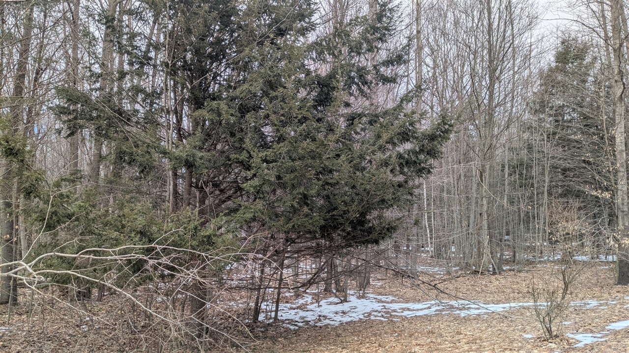 Opal Ridge Drive Property Photo 8