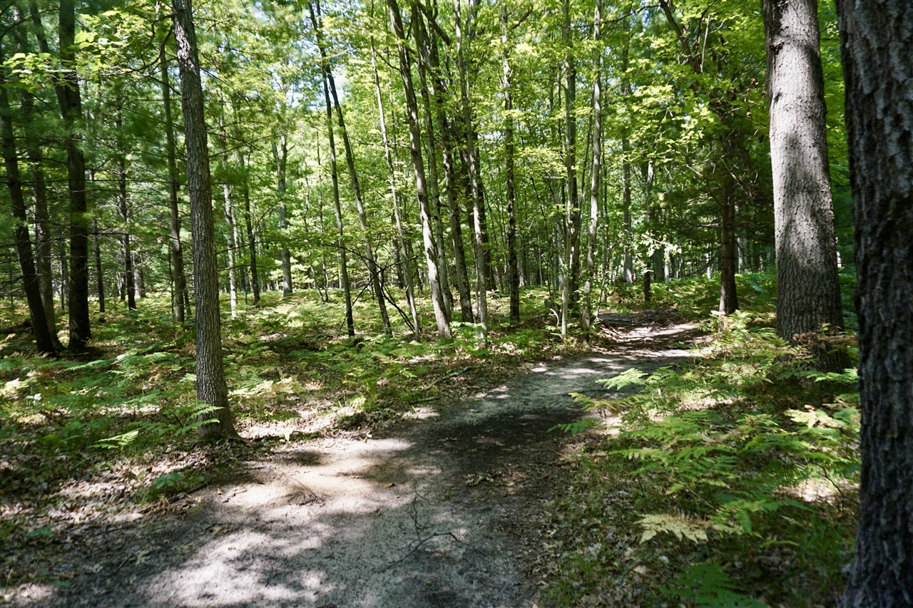 3077 S Tyndall Road Property Photo 10