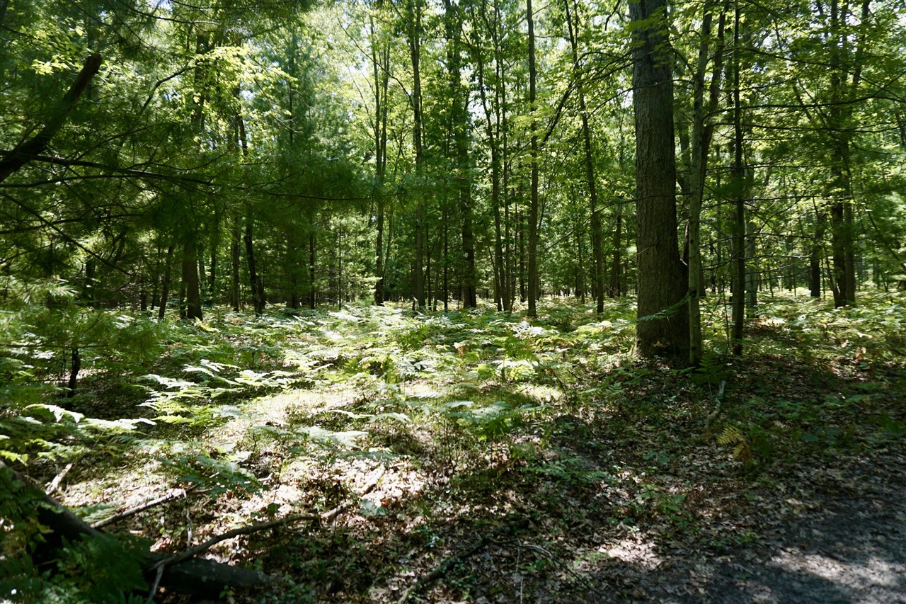 3077 S Tyndall Road Property Photo 11