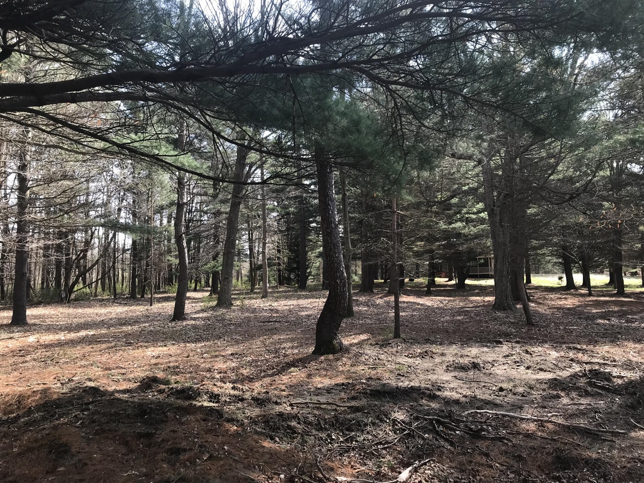 Lot 1 Creekwood Drive Property Photo 1