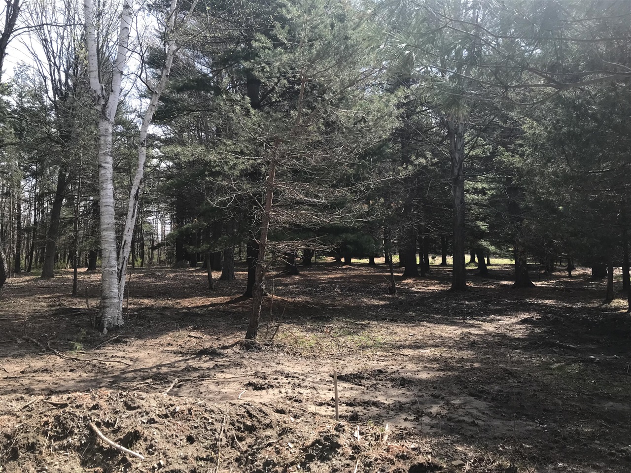 Lot 1 Creekwood Drive Property Photo 2