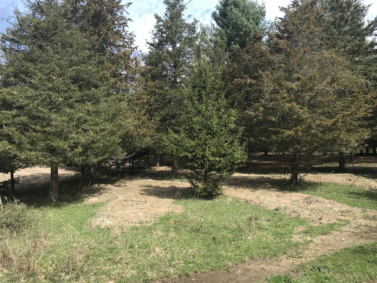 Lot 2 Creekwood Drive Property Photo 1