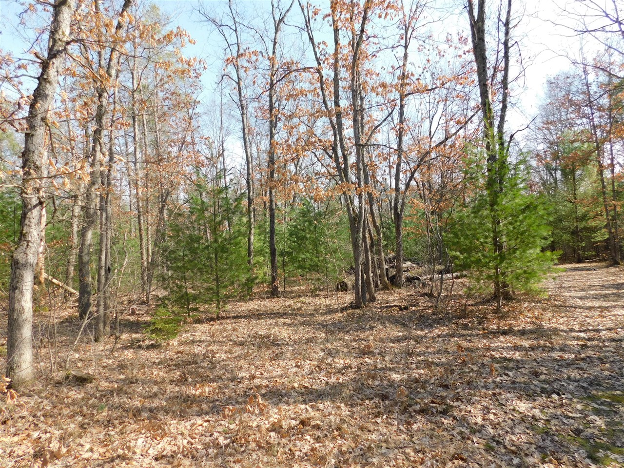 647 N Hart Road Property Photo 14