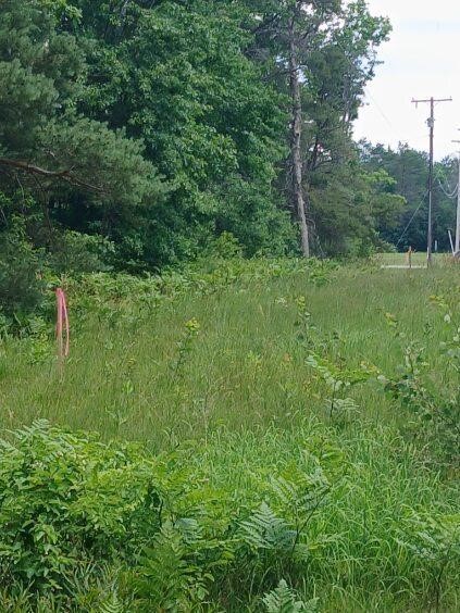 7860 S Grayling Road Property Photo 7