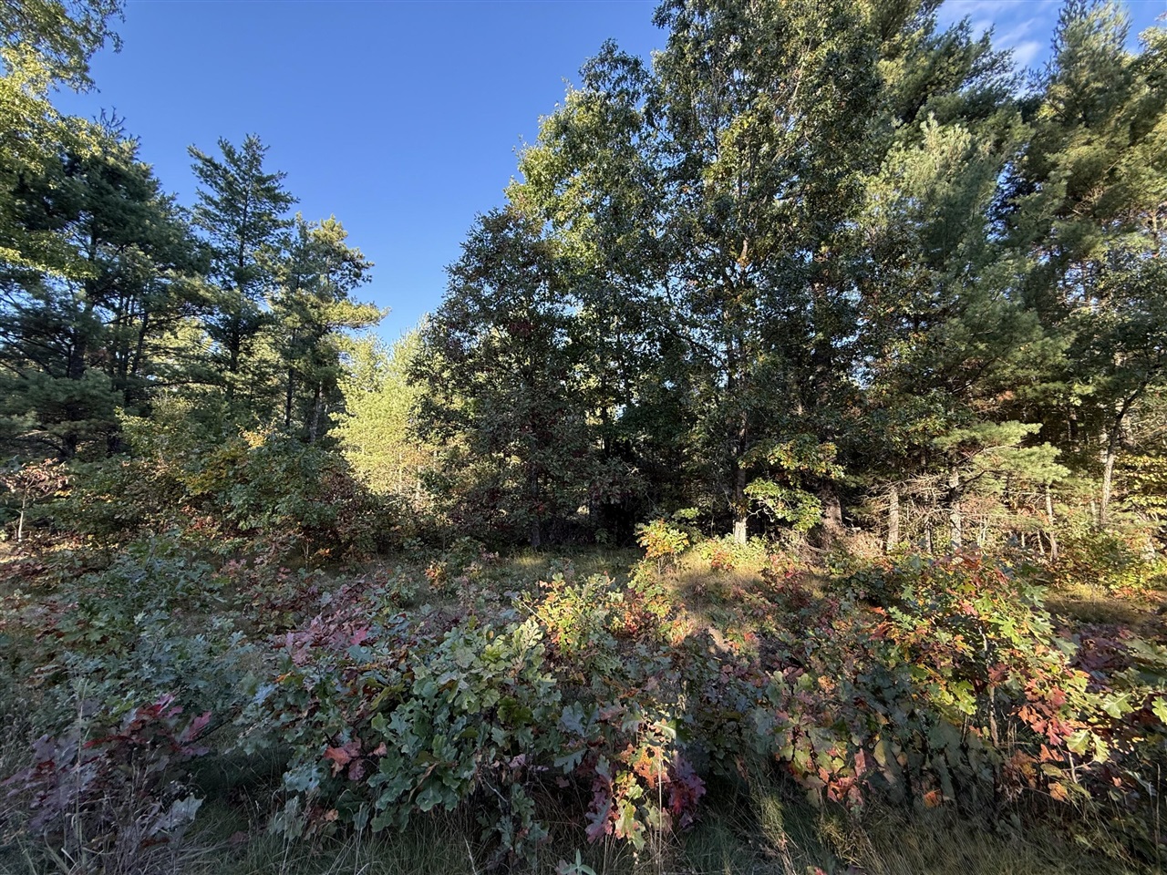 1242 Sydney Street Property Photo 1