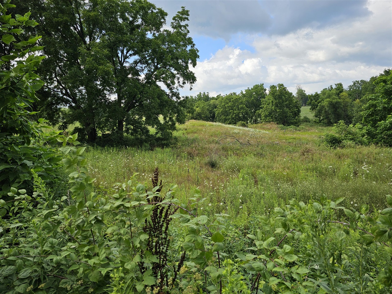 8475 Ross Road Property Photo 2