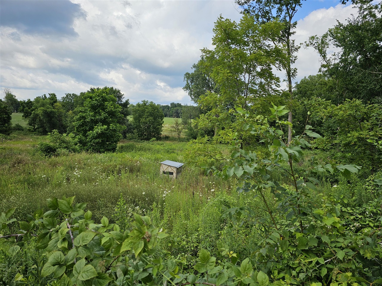 8475 Ross Road Property Photo 3