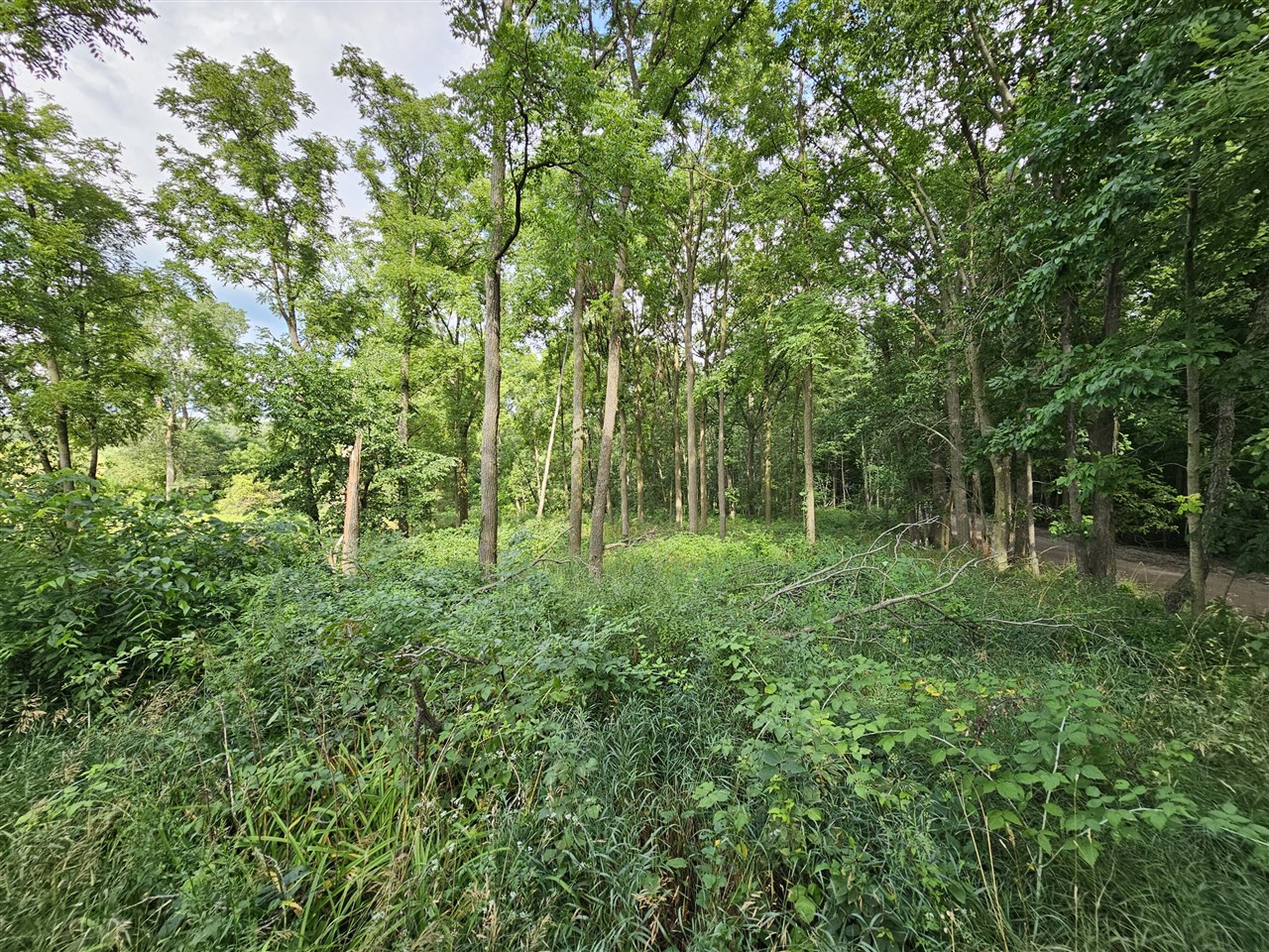 8475 Ross Road Property Photo 6