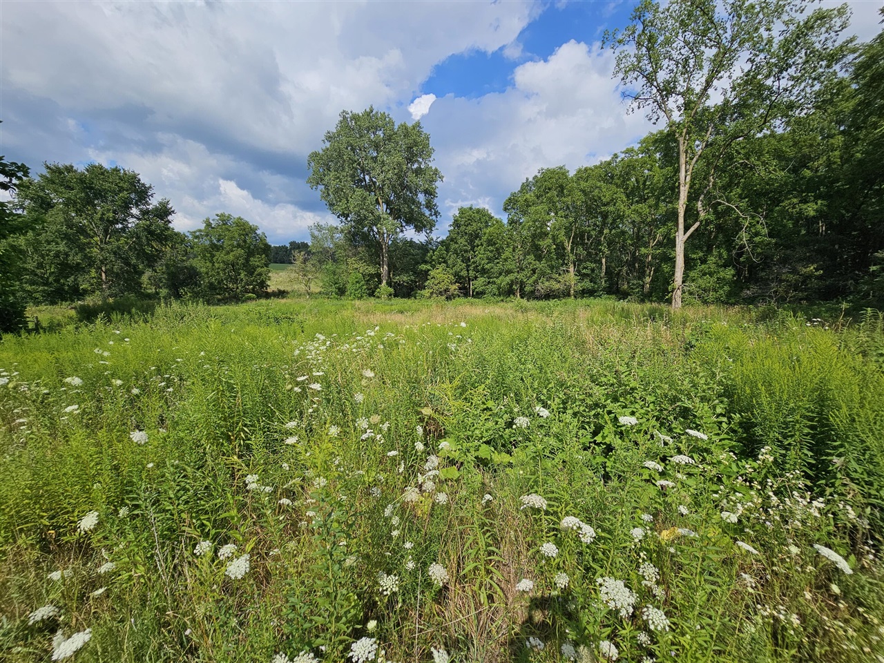 8475 Ross Road Property Photo 8