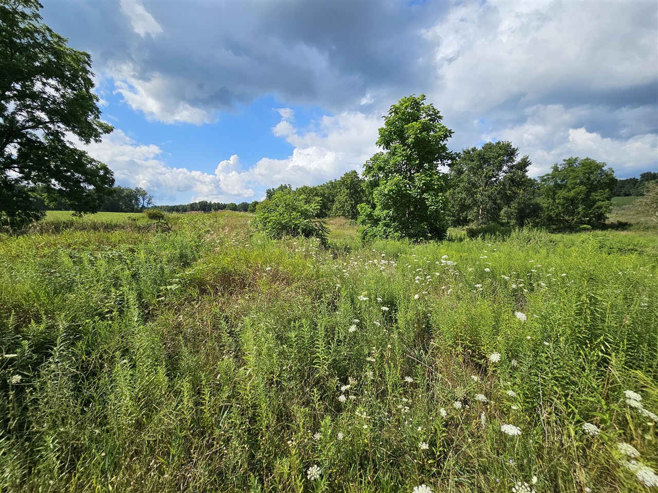 8475 Ross Road Property Photo 9