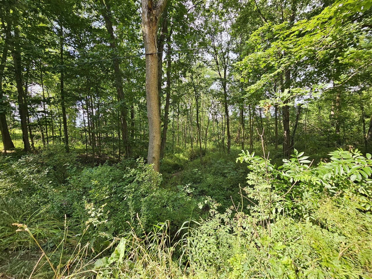 8475 Ross Road Property Photo 10