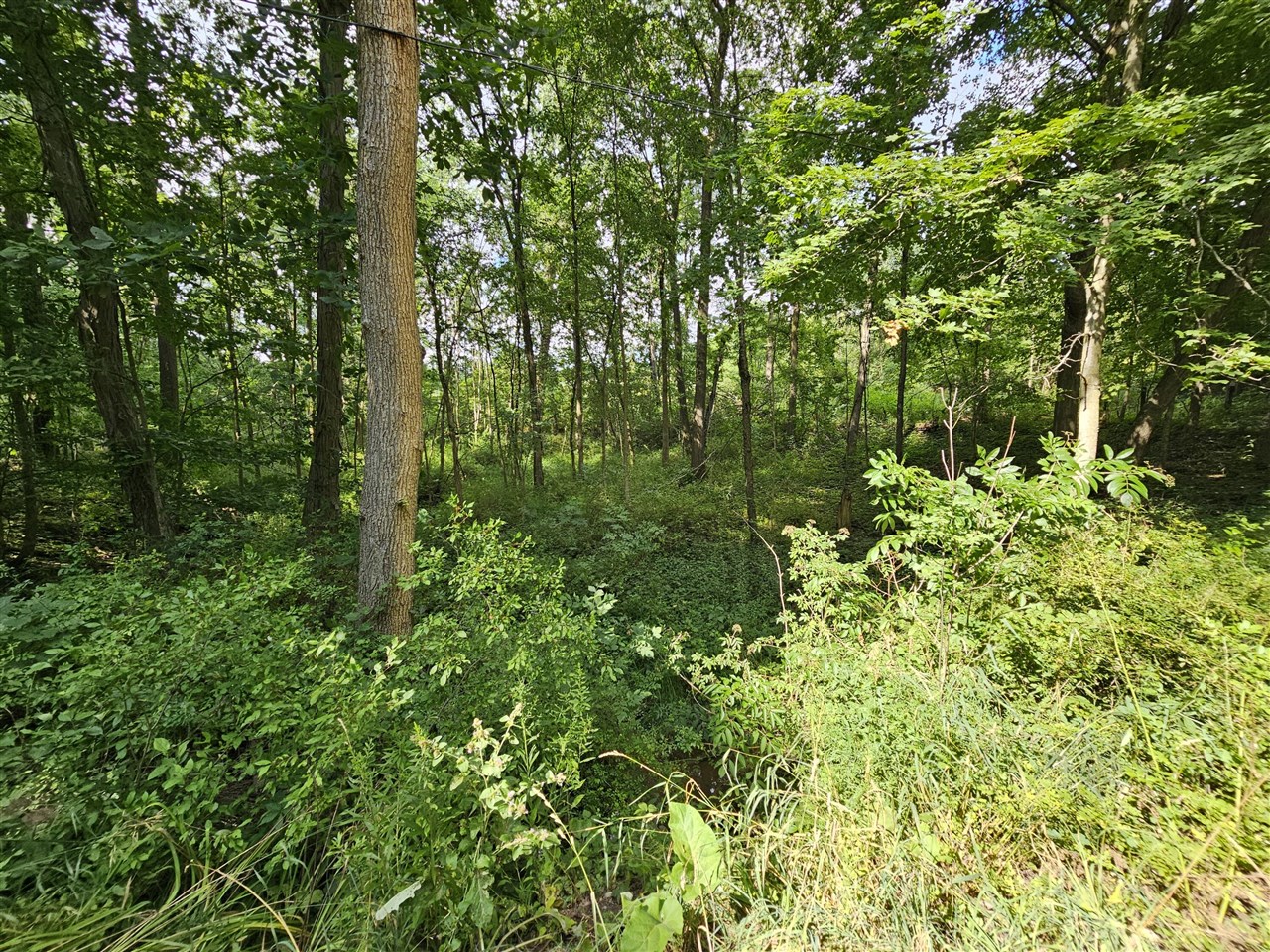 8475 Ross Road Property Photo 11