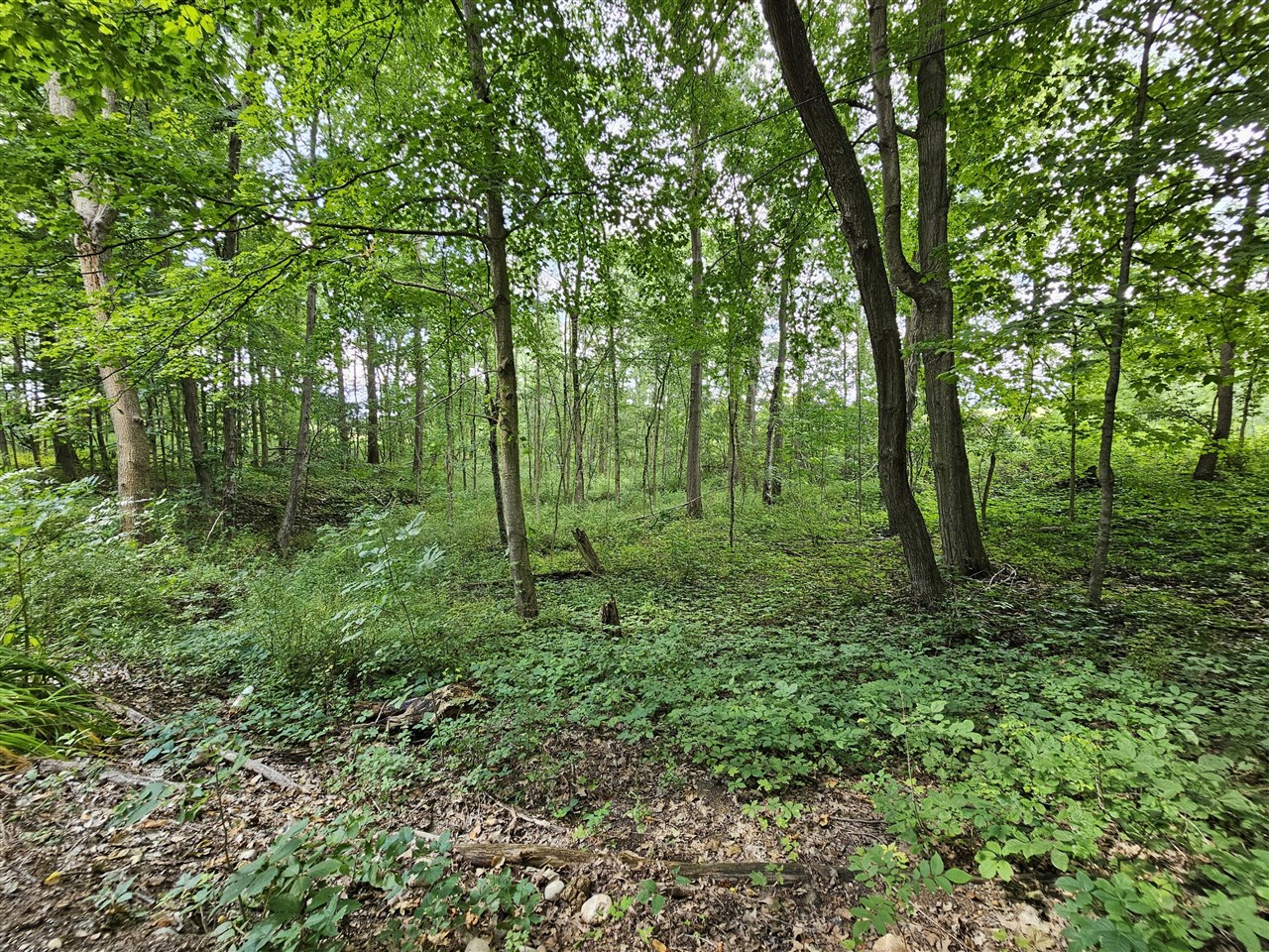 8475 Ross Road Property Photo 12