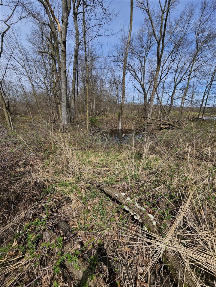 8475 Ross Road Property Photo 13