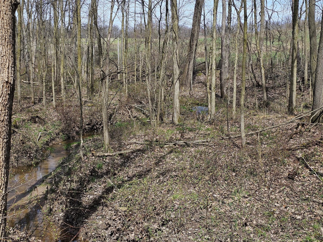 8475 Ross Road Property Photo 14