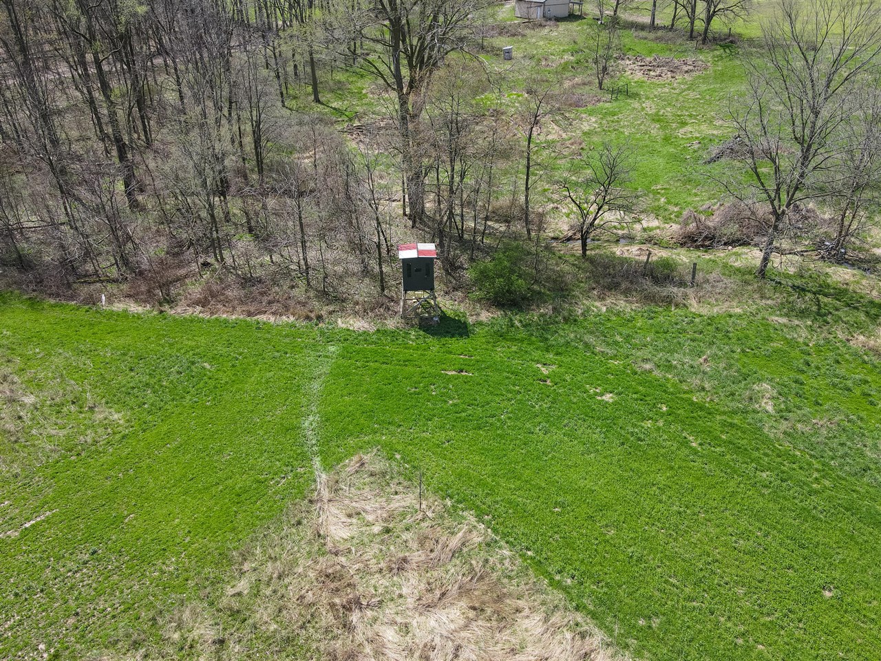 8475 Ross Road Property Photo 16